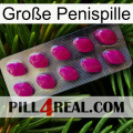 Große Penispille 09